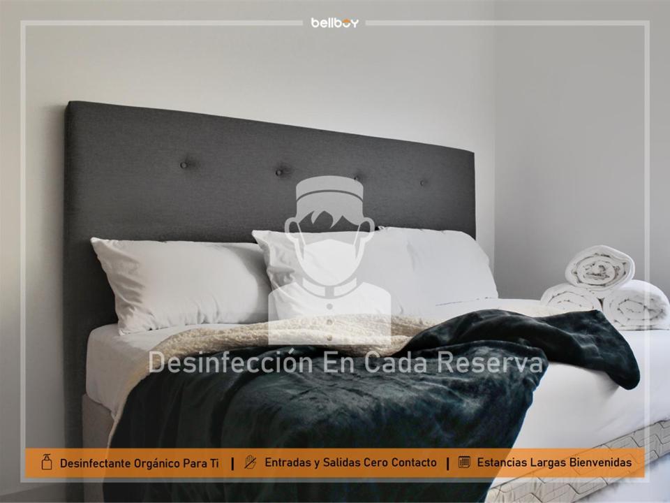Alejandria 1601-2 / Alberca / Privacidad Apartamento Mazatlán Exterior foto